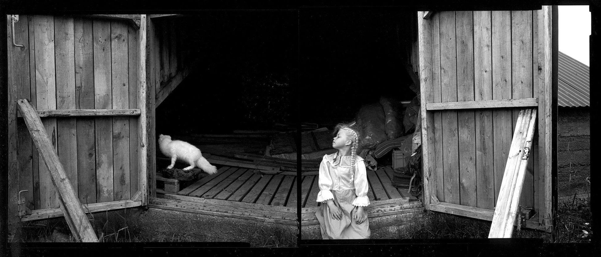 Vision Neil Folberg Gallery Isold and the Fox. Kleppjarnsstaddir, Iceland Photograph