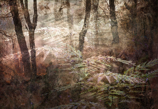 MMX Gallery The Edge of Autumn, Study I Photograph