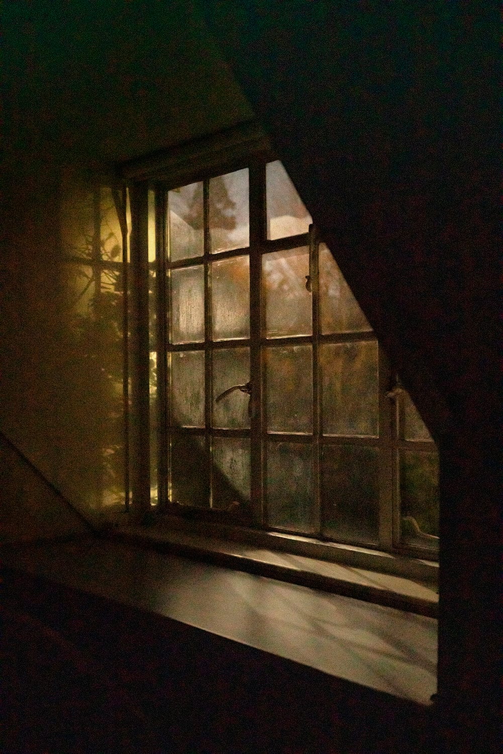 Dewi Lewis Publishing Pictures From The Garden Photobooks