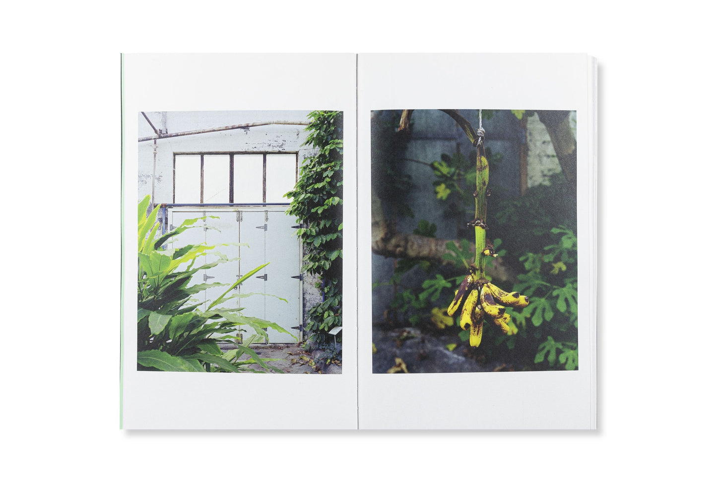 Redactioneel RM Against All That Glitters Fotoboek