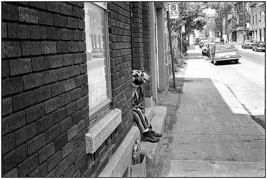The MF Gallery Best Friends, Montreal, 1988 Photograph