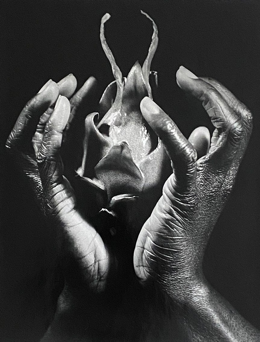 Doyle Wham Corps et Fruit 5 Photograph