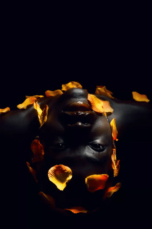 Doyle Wham Corrolla I Photograph