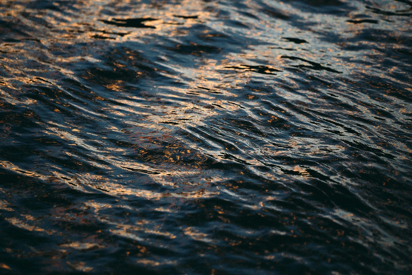 Crane Kalman Brighton Deep Inside III #10 Photograph