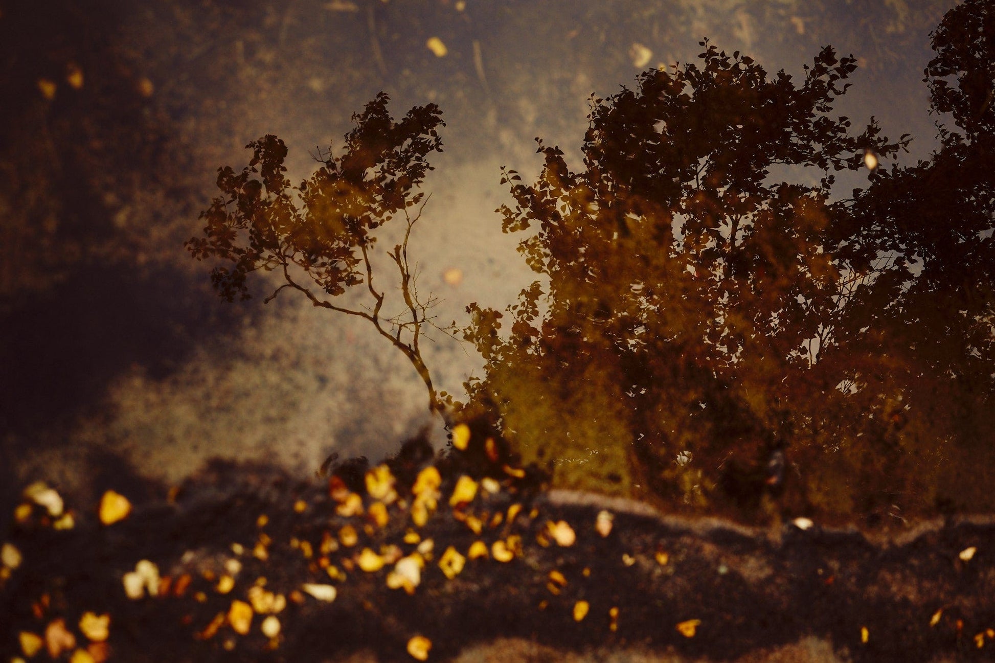 Crane Kalman Brighton Deep Inside III #1 Photograph