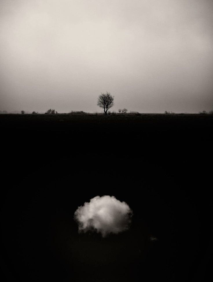 Crane Kalman Brighton Gaia 6 Photograph