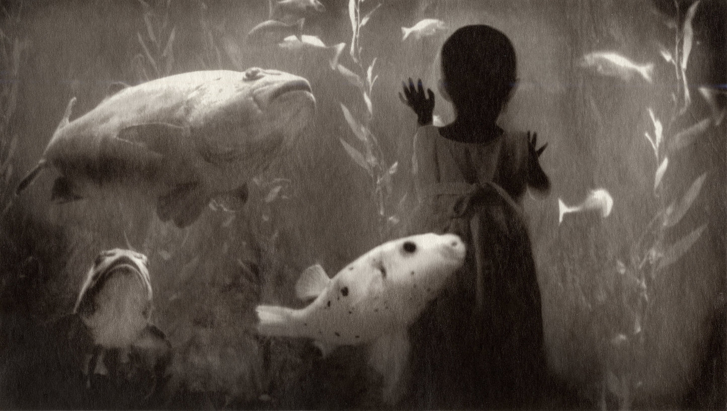 Vision Neil Folberg Gallery Here nor There 17 Photograph