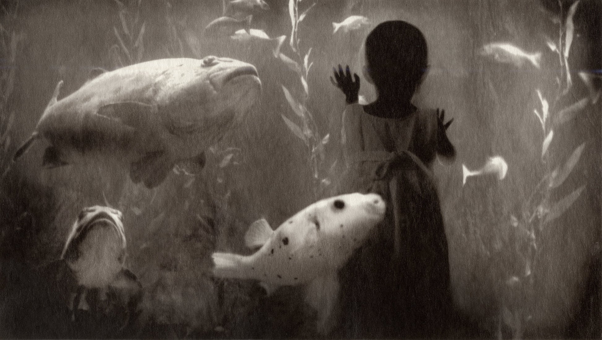 Vision Neil Folberg Gallery Here nor There 17 Photograph