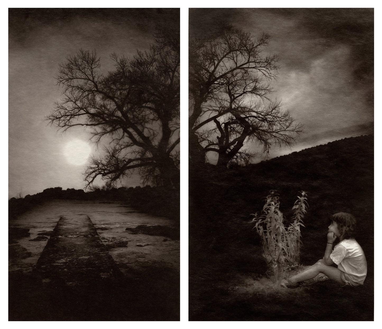 Vision Neil Folberg Gallery Here nor There 4&8 (diptych) Photograph