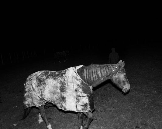 Editorial RM Devil's Rib Photobook