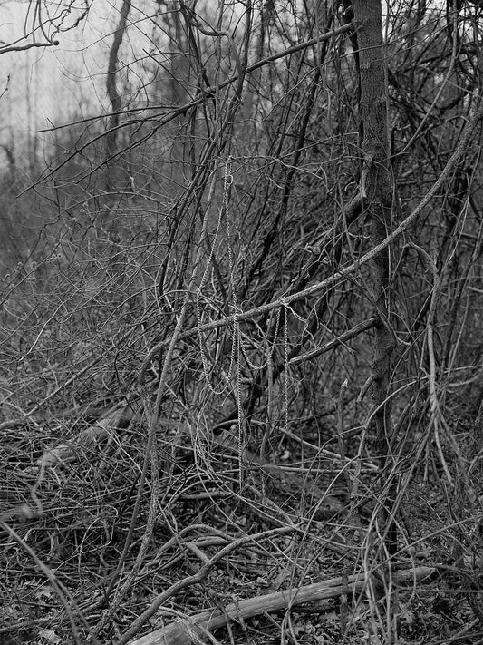 TOBE Gallery CHAIN FOREST - Making smaller mistakes than before is a bitch Photography