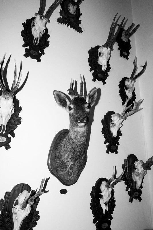 TOBE Gallery THREE COLOURS I KNOW IN THIS WORLD - Untitled IX Photography