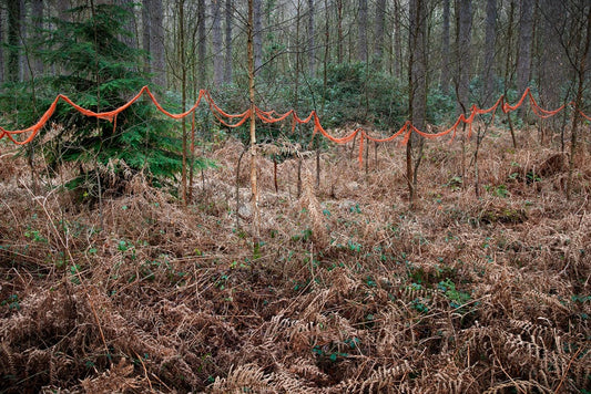 Crane Kalman Brighton Knit One Pearl One 6 Photograph