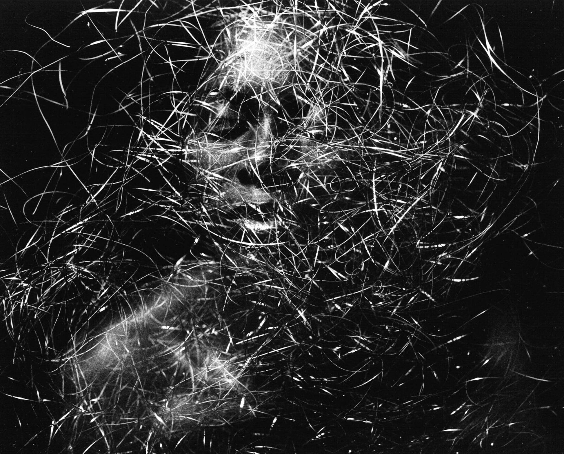 Doyle Wham Le fil conducteur 3 Photograph