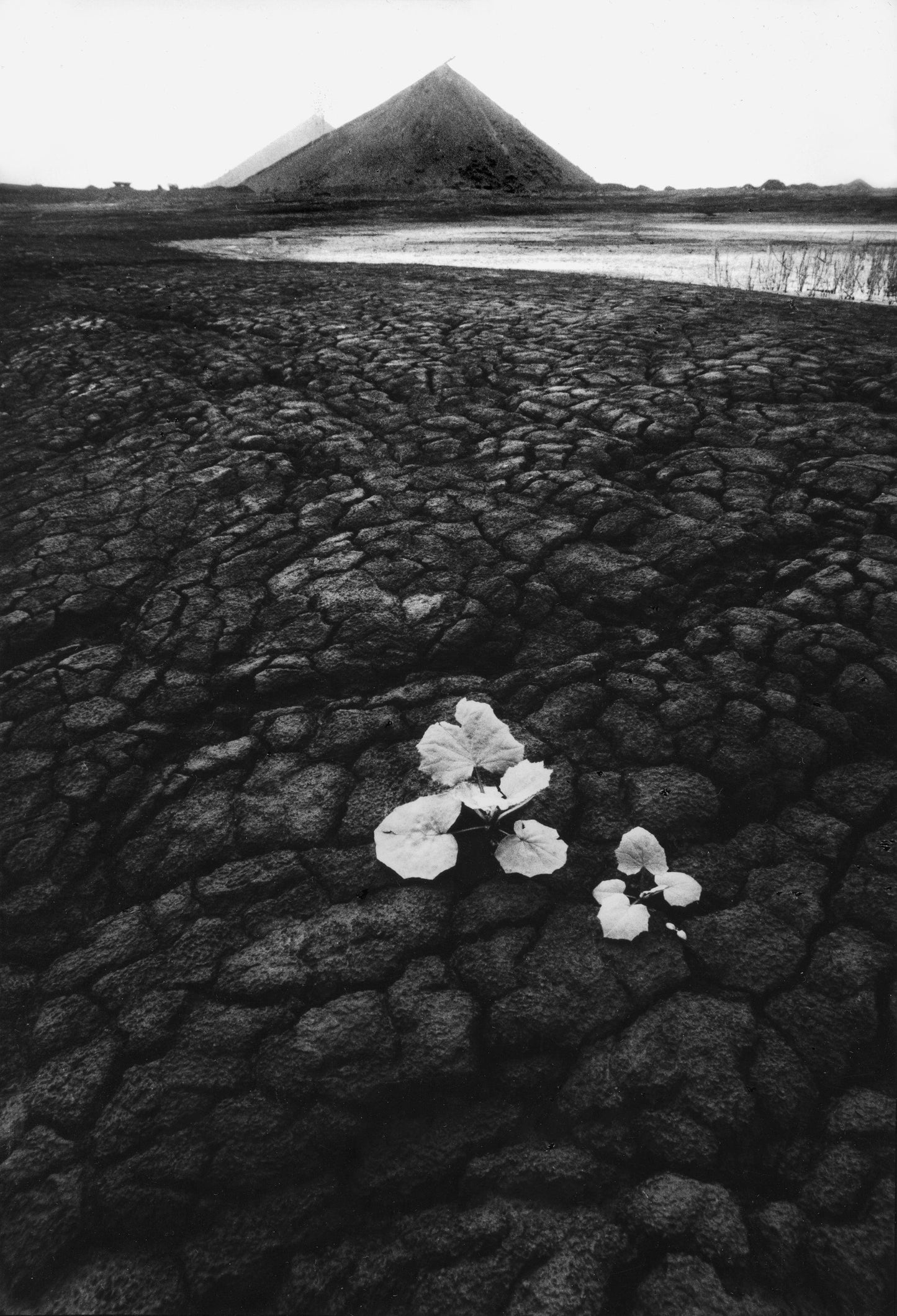 MMX Gallery Slagheaps V Photograph