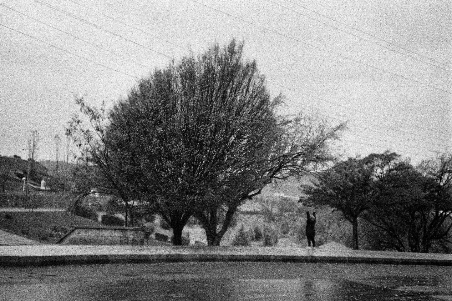 LS10 Gallery Morning Flâneuring (Lomography), III Photograph