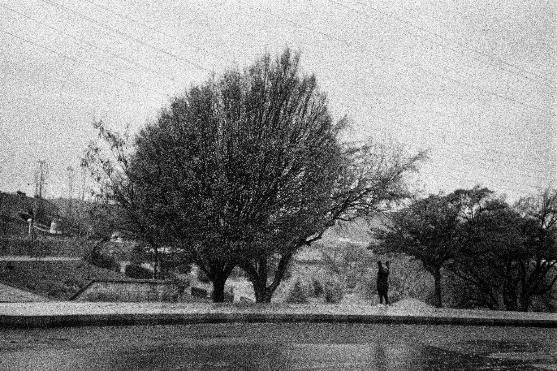 LS10 Gallery Morning Flâneuring (Lomography), III Photograph