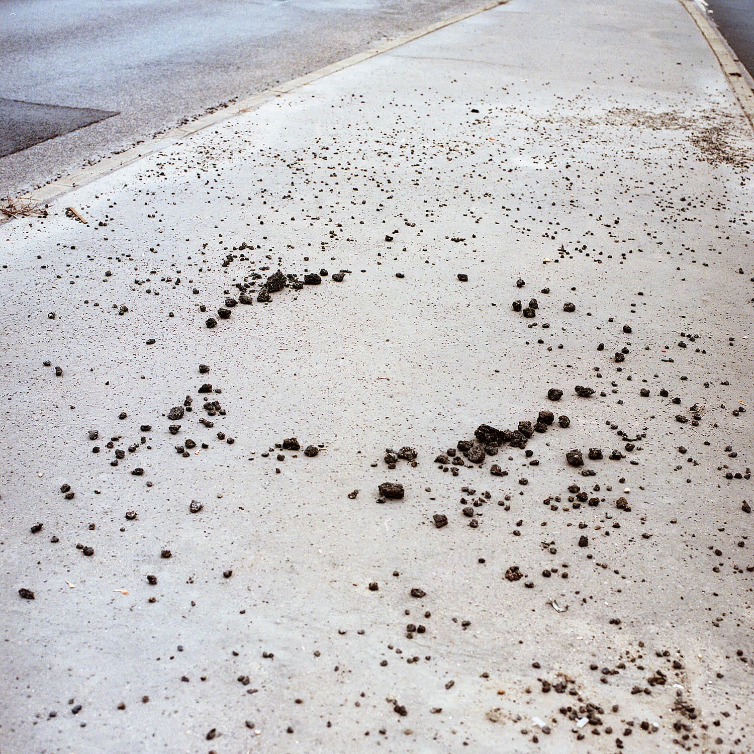 TOBE Gallery ANIMA MUNDI - Untitled XXXVII Photography