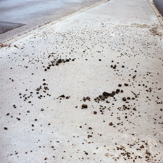 TOBE Gallery ANIMA MUNDI - Untitled XXXVII Photography