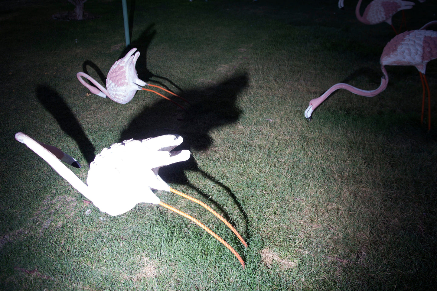 LS10 Gallery untitled I (funfair series) Photograph