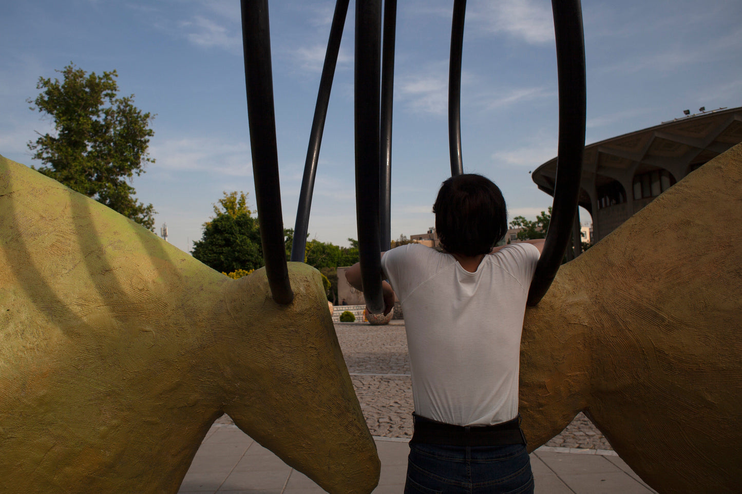 LS10 Gallery untitled III (pulse series) Photograph