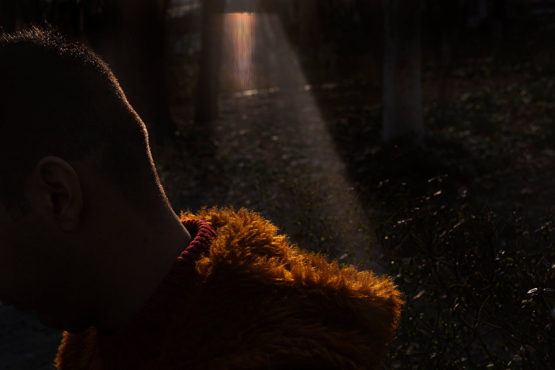 LS10 Gallery untitled V (pulse series) Photograph