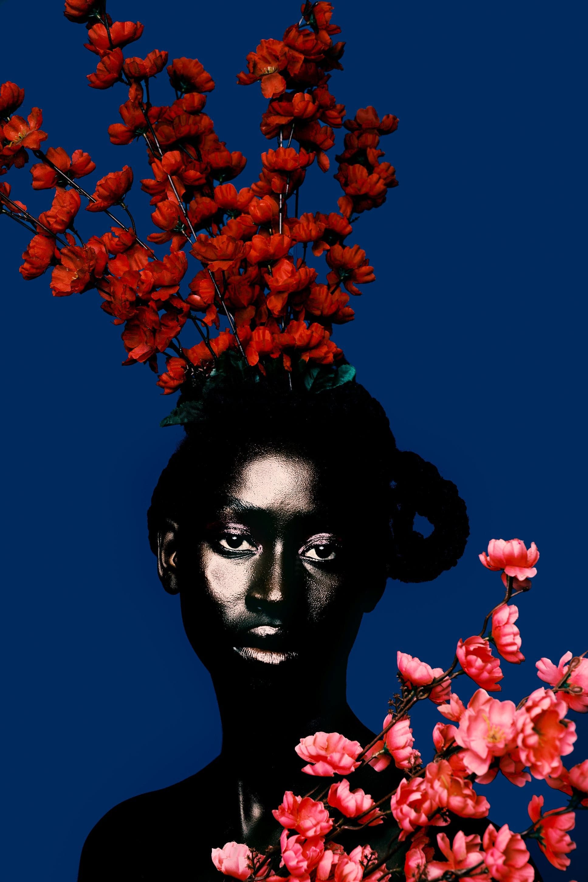 Doyle Wham Perennial Photograph