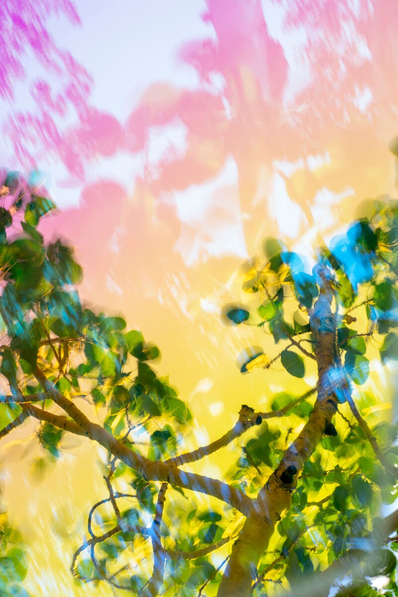 Crane Kalman Brighton Pando-7 Photograph