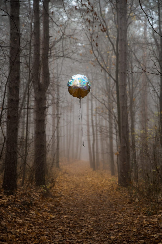 TOBE Gallery Balloon Photography