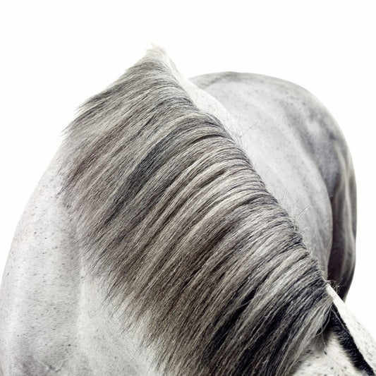 MMX Gallery Slickly, 'Mane' Photograph