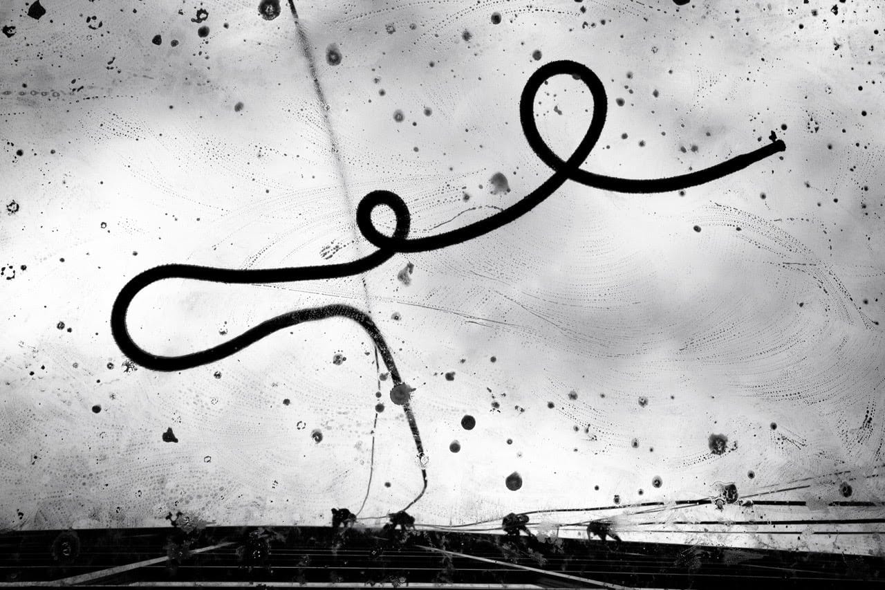 The MF Gallery Window Washers, Seattle, Washington, 2012 Photograph