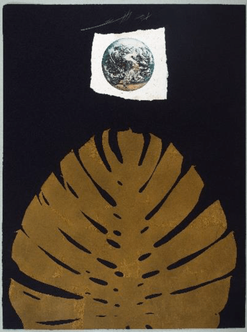 Editorial RM Atlas Photobook