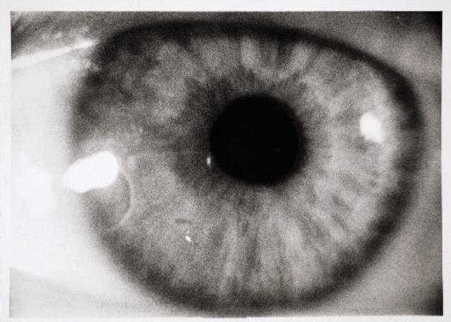 Szerkesztői RM Frida Kahlo Her Photos (újranyomás) fotókönyv