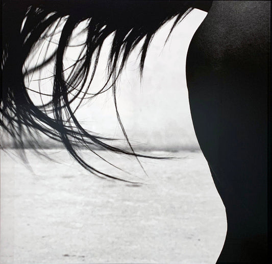 MMX Gallery Xaar, 'Tail' Photograph