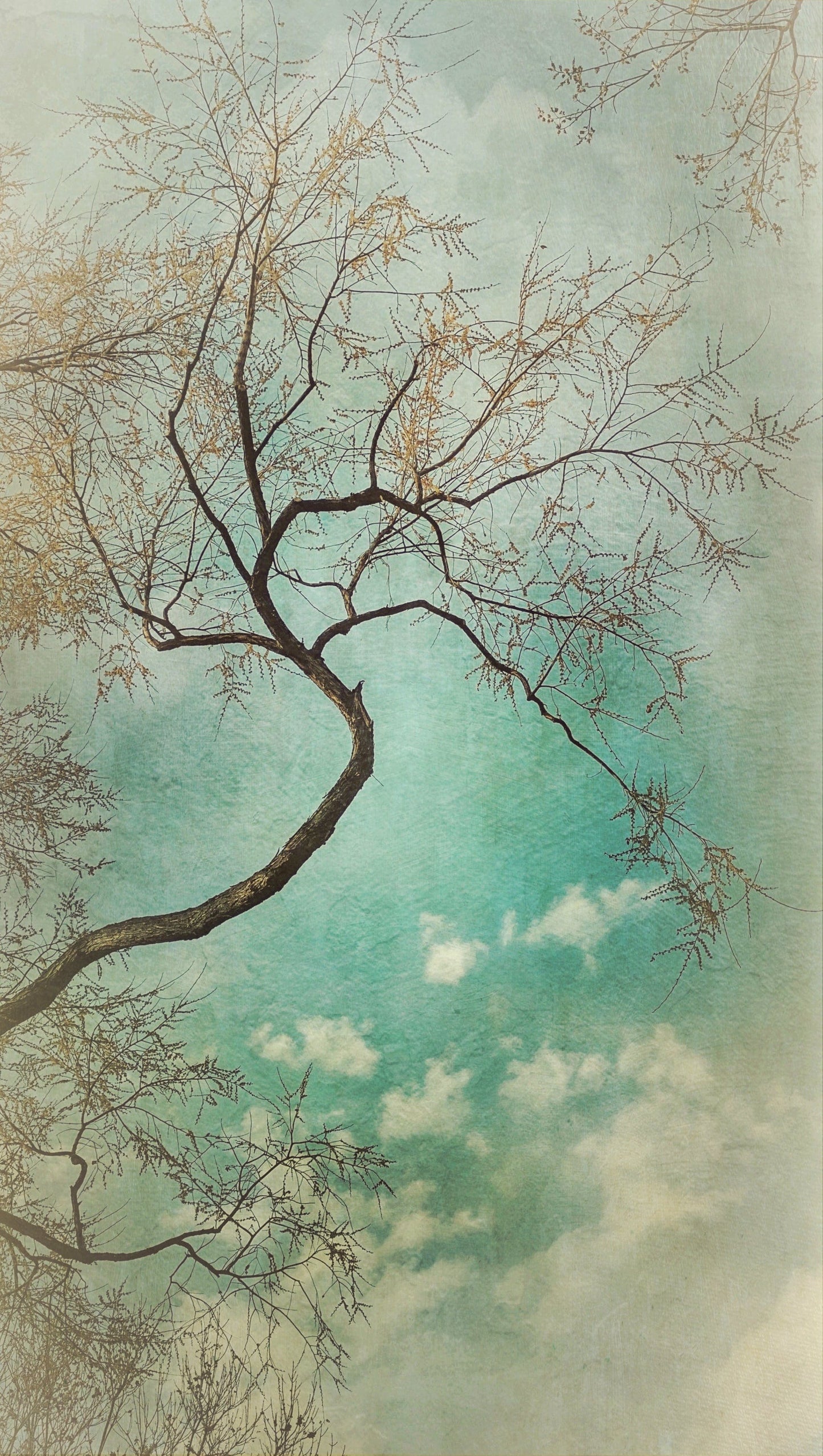 Vision Neil Folberg Gallery Refuge Photograph