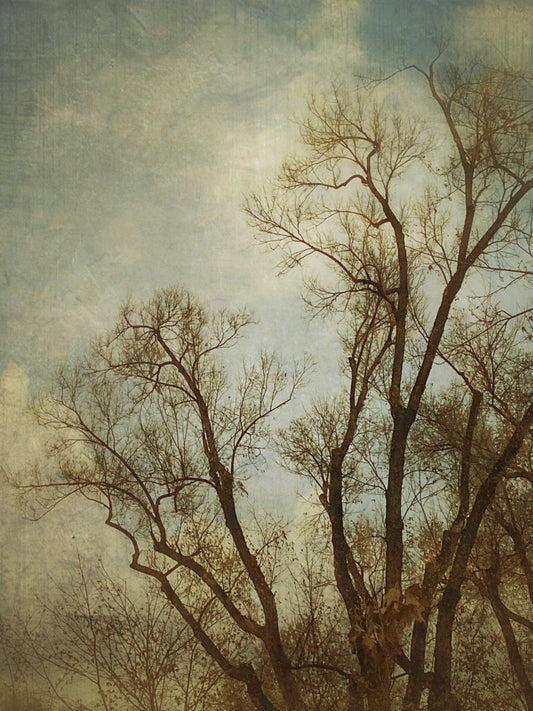 Vision Neil Folberg Gallery The Half Light of Dusk Photograph