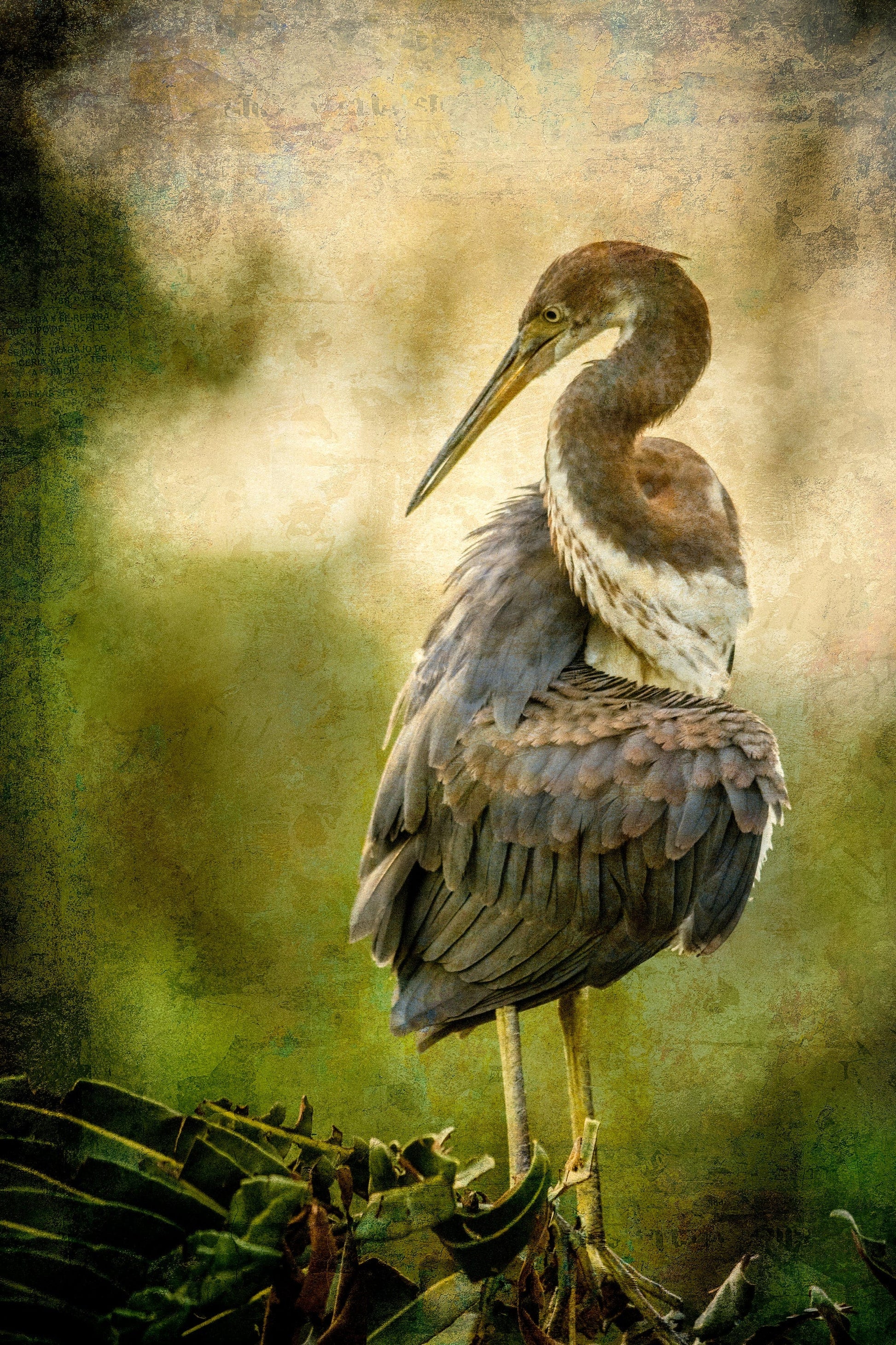 Vision Neil Folberg Gallery Twisted Photograph