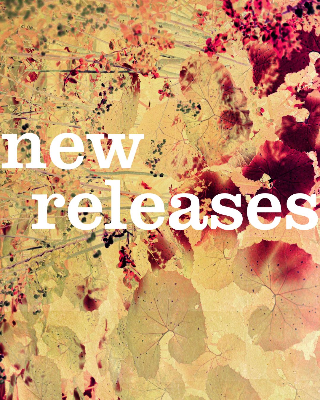 paris photo: book releases