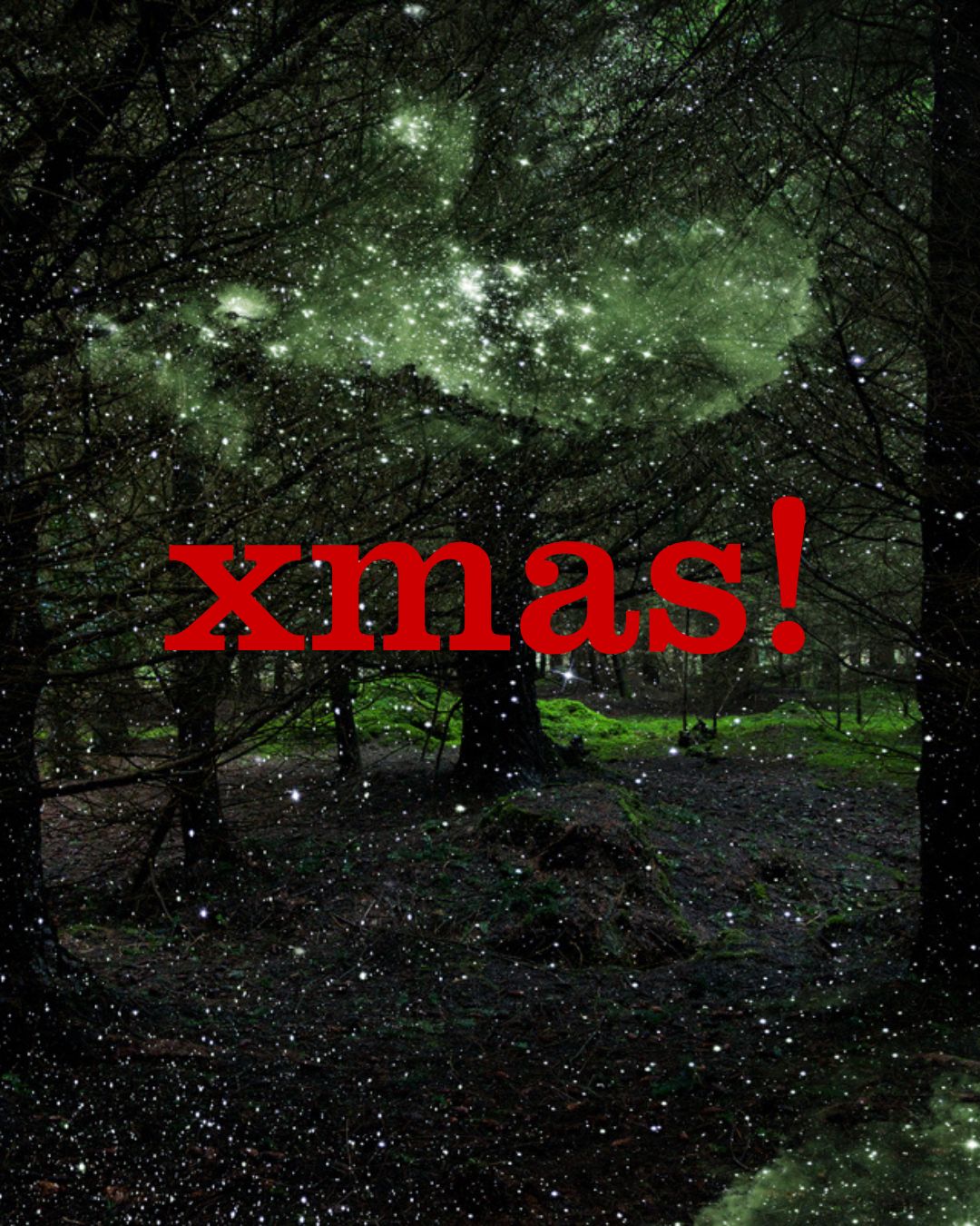 eve's 12 days of xmas