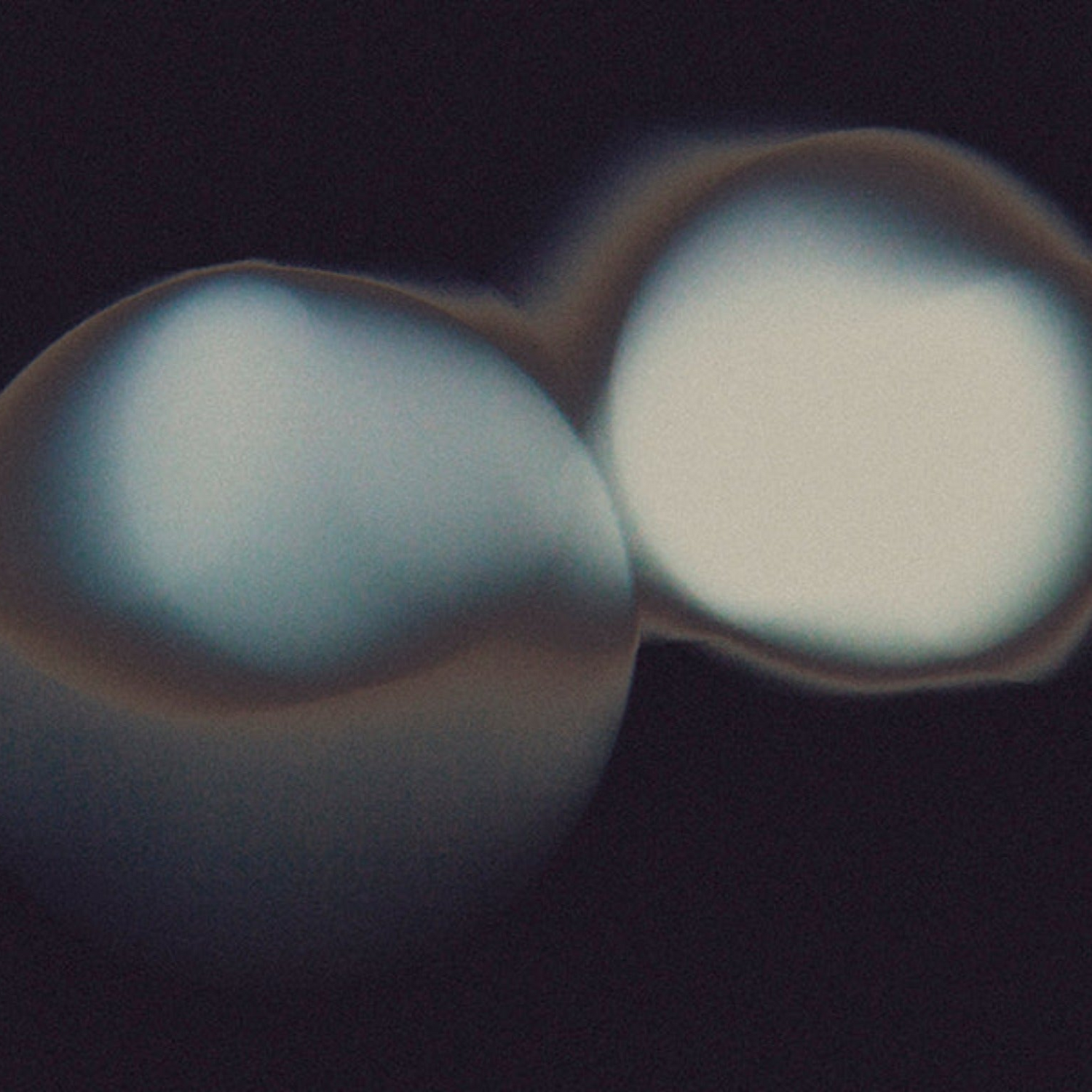 luuk de haan, bergen