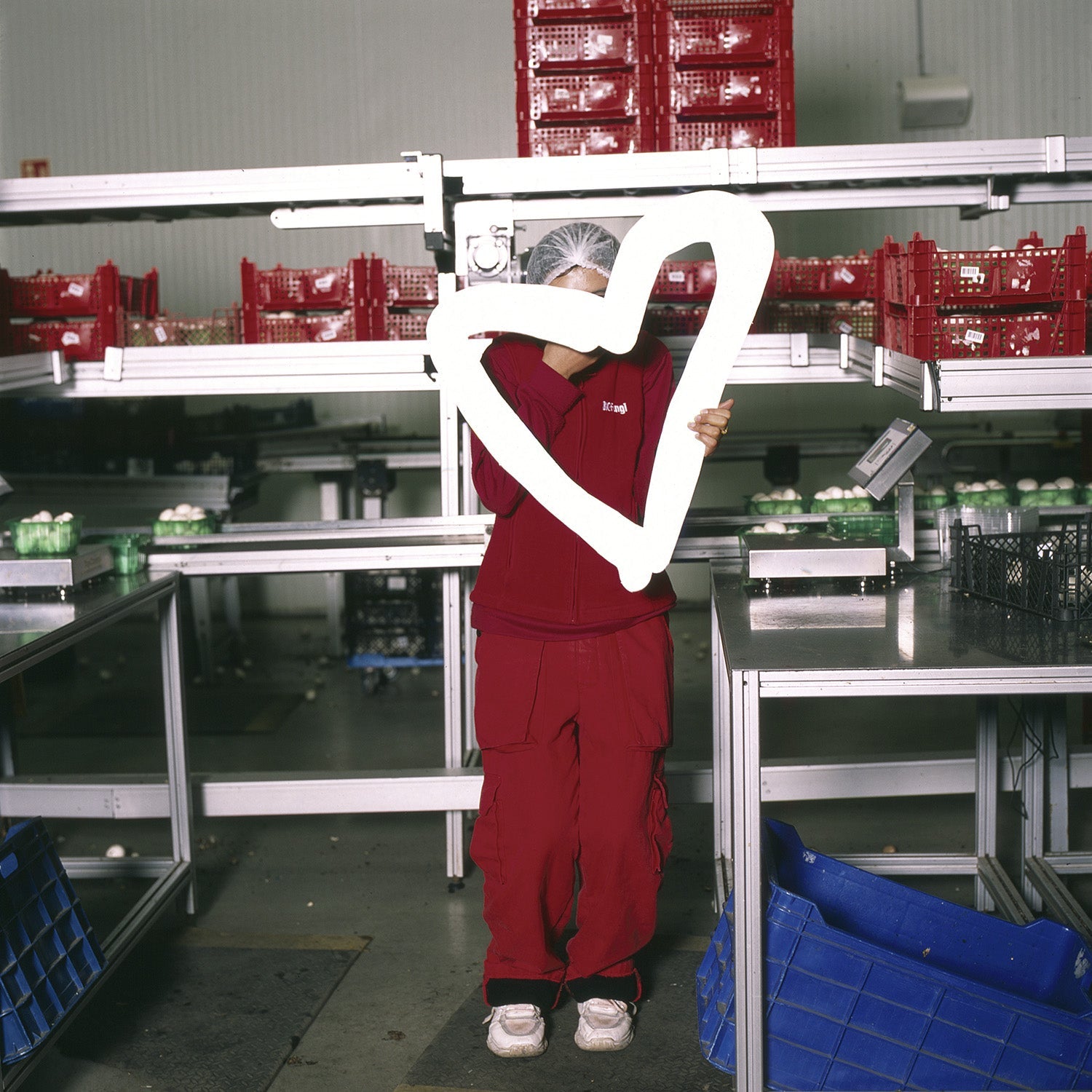 anna fabricius, budapest