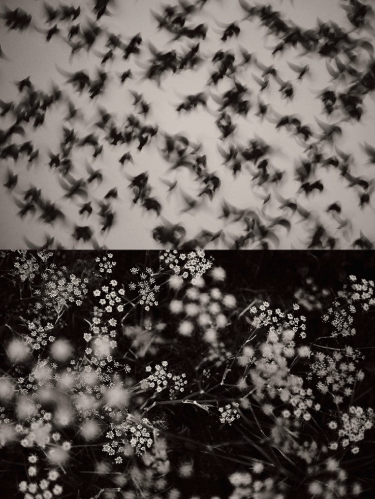 jaume llorens bach, banyoles