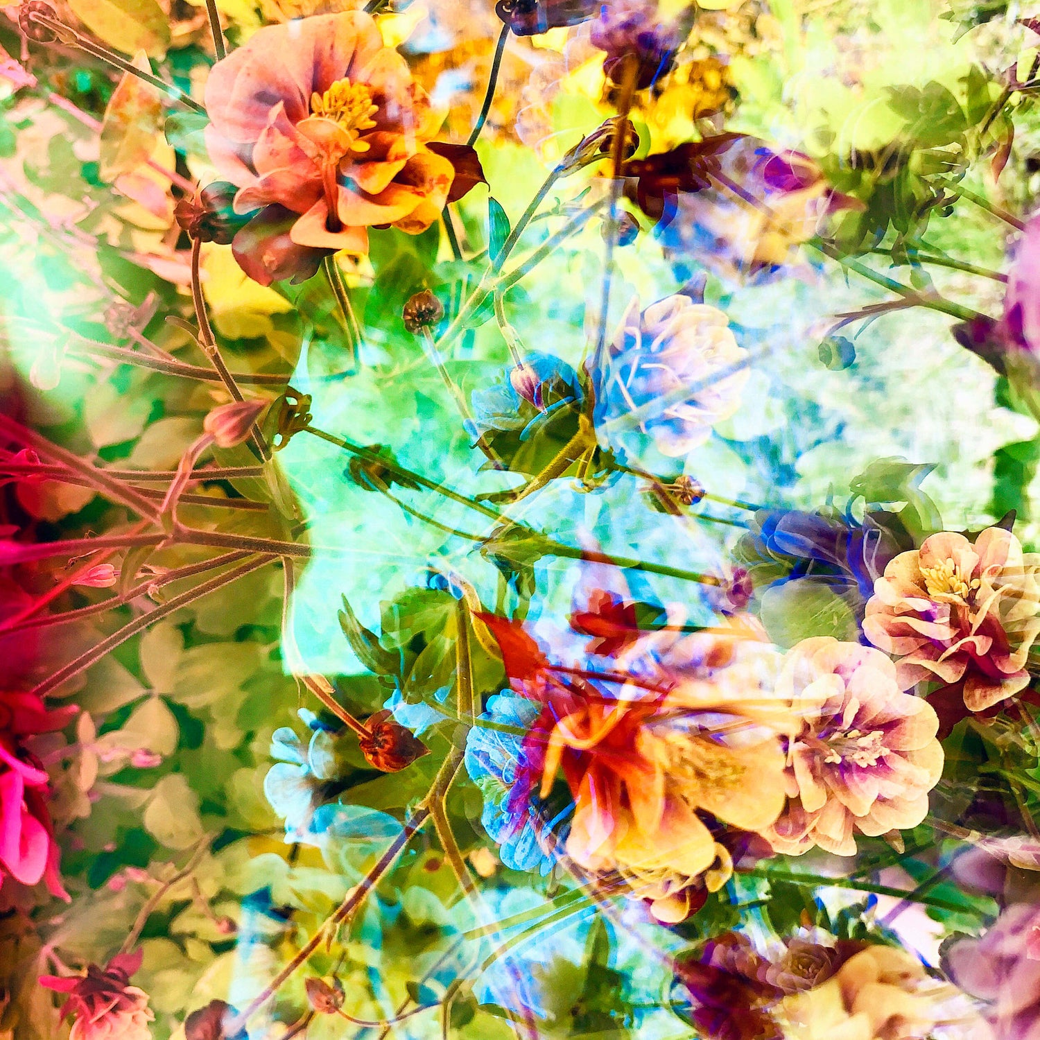 karine laval, new york