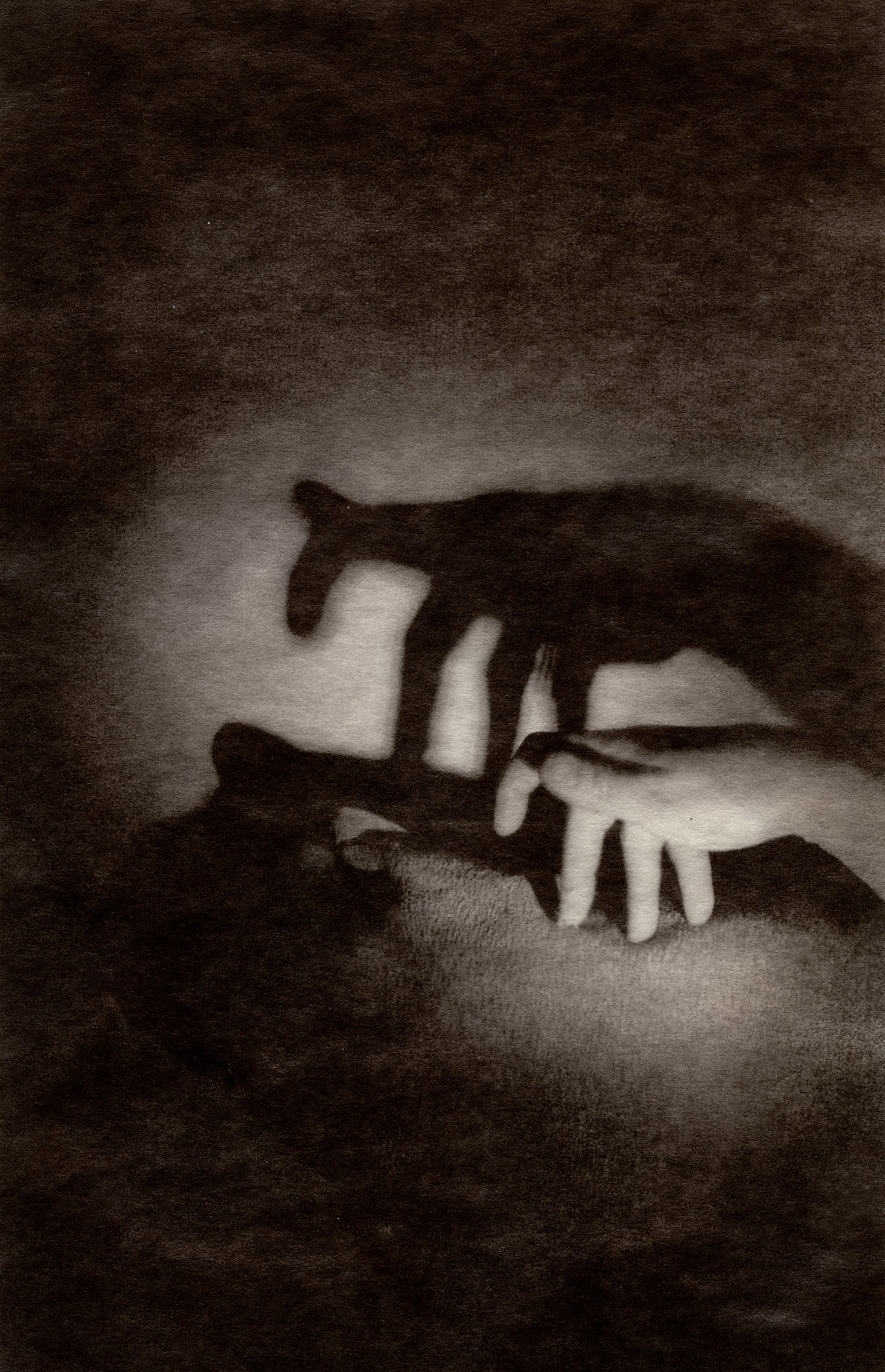 jennifer schlesinger, santa fe