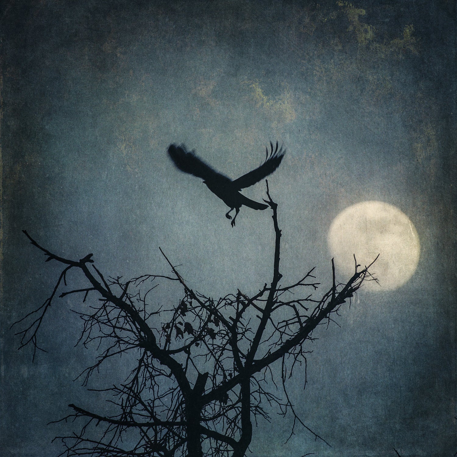 wendi schneider, denver