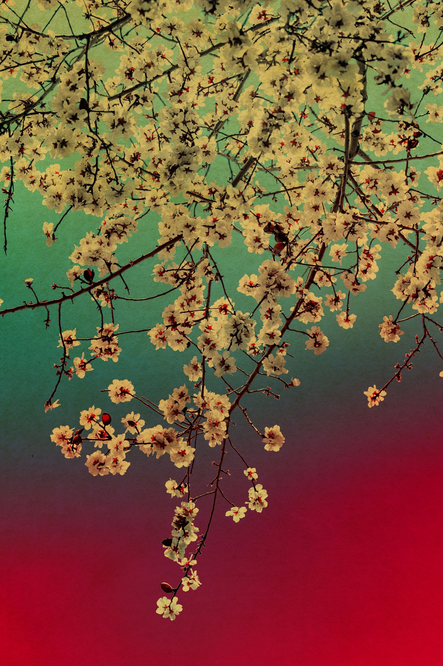 Windows to the Unexpected