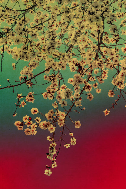 Windows to the Unexpected