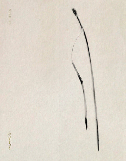 Editorial RM Needles Photobook