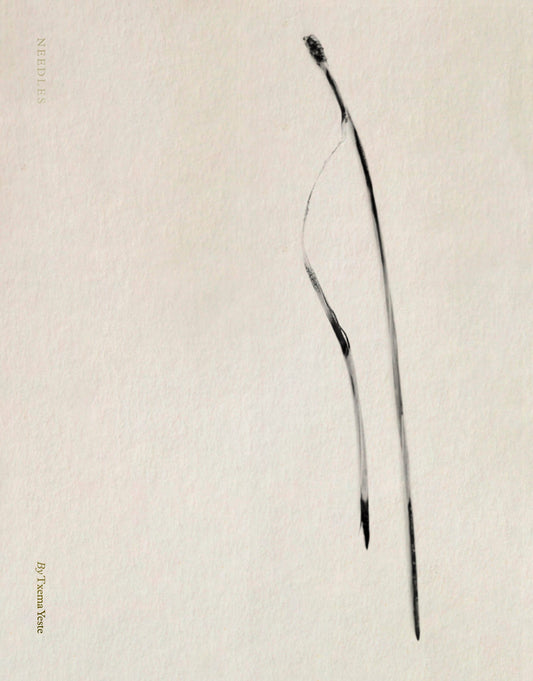 Editorial RM Needles Photobook