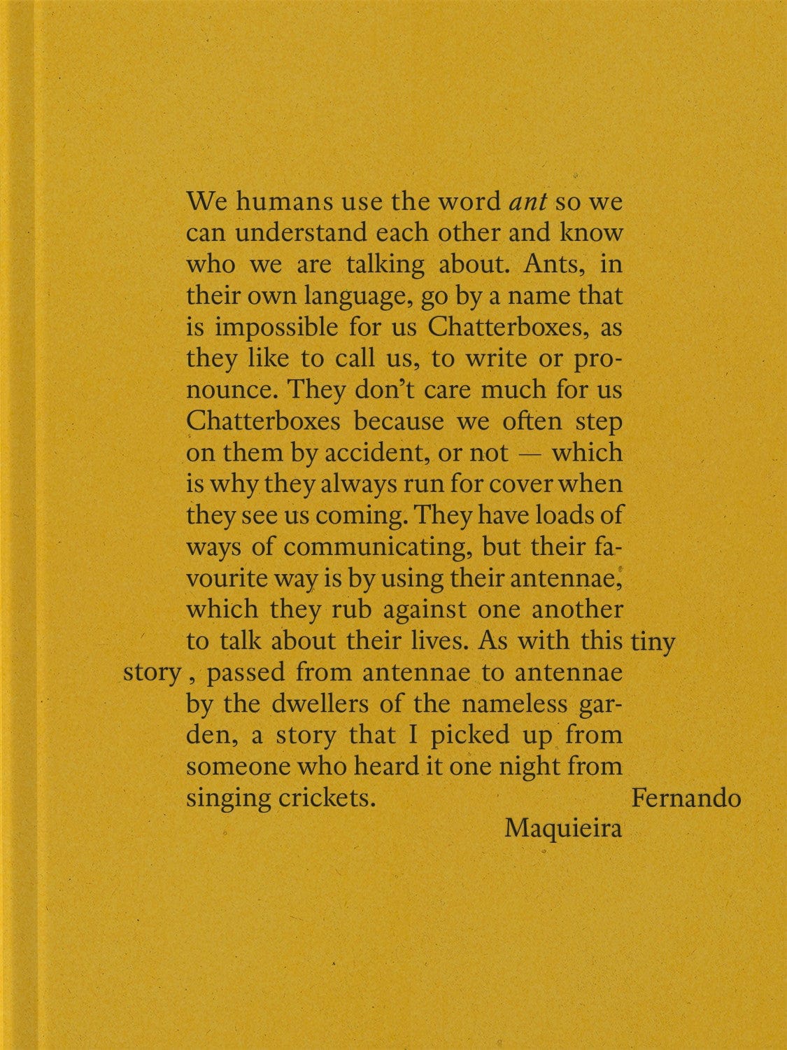 Redactioneel RM Een klein verhaal fotoboek